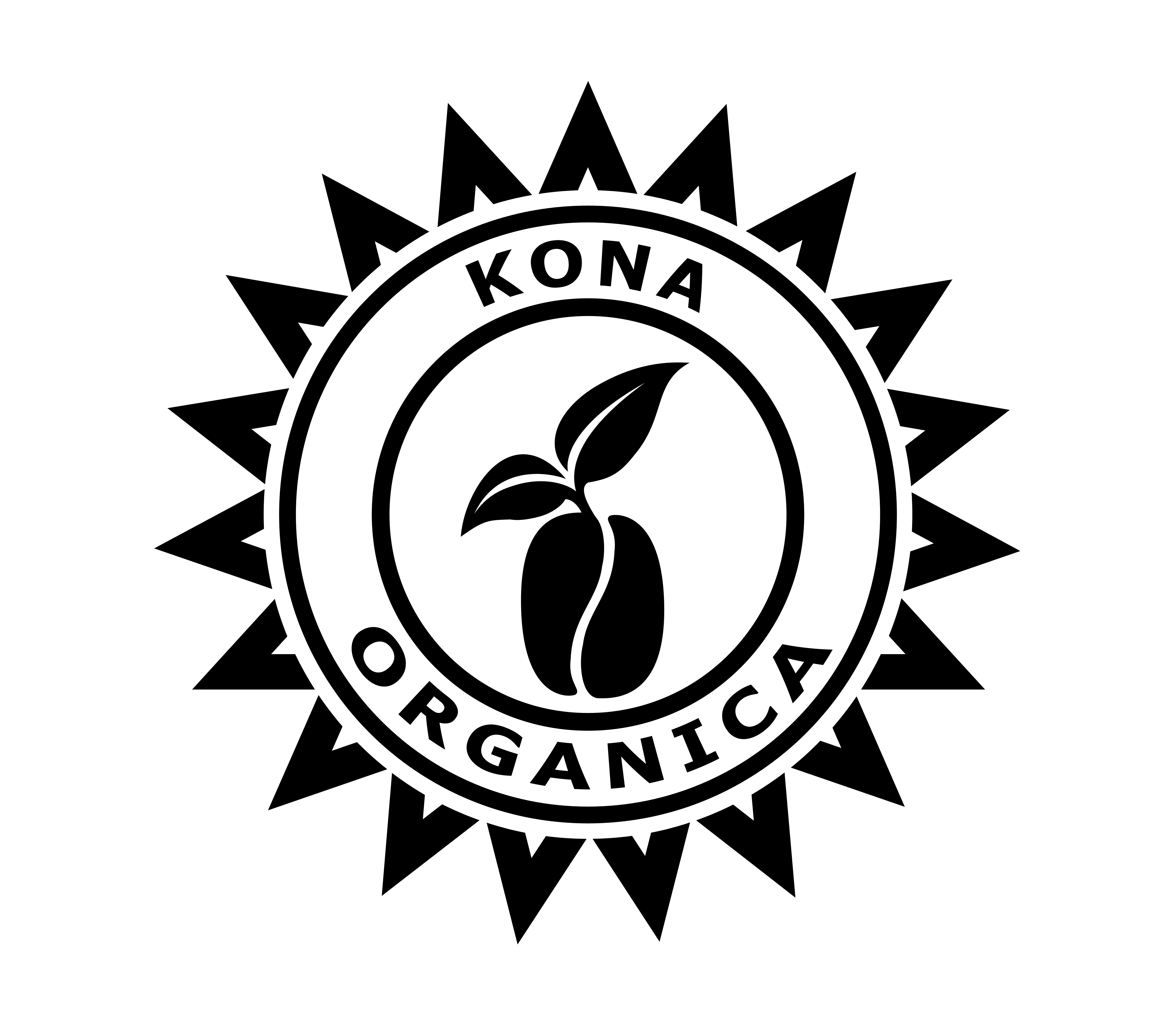 Top 103+ Background Images Kona Stunning